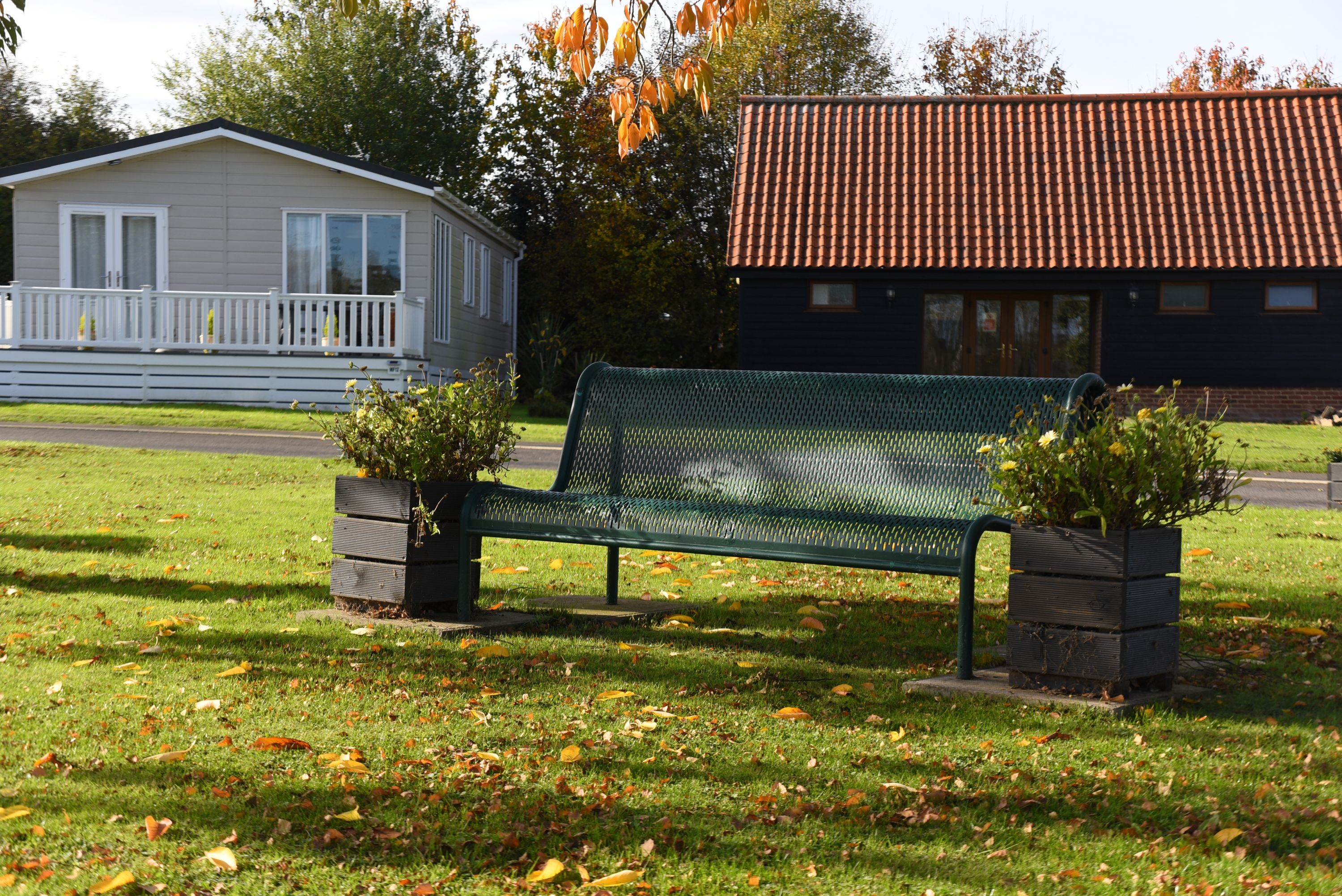 Meadow Field 12A