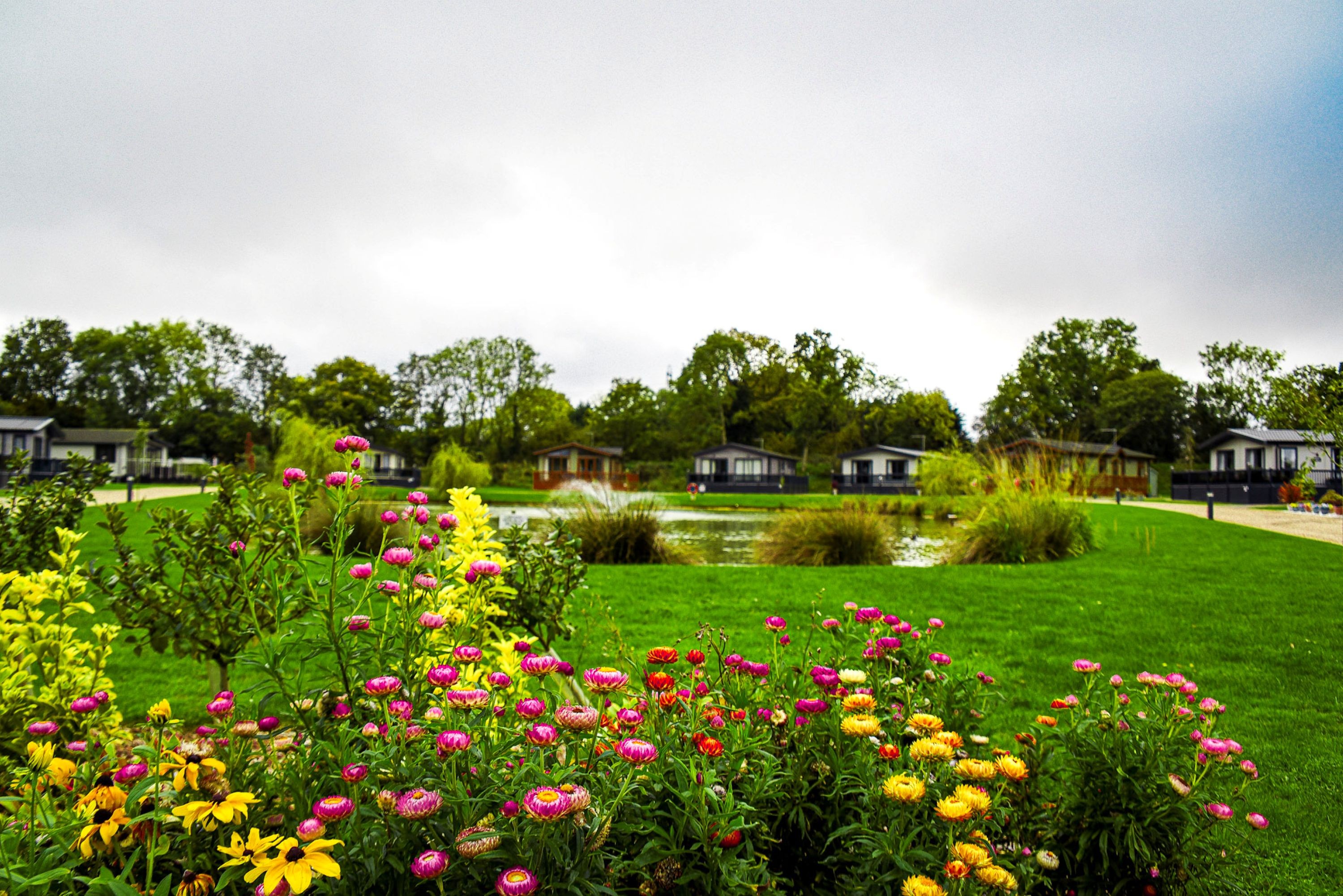 Countryside 30