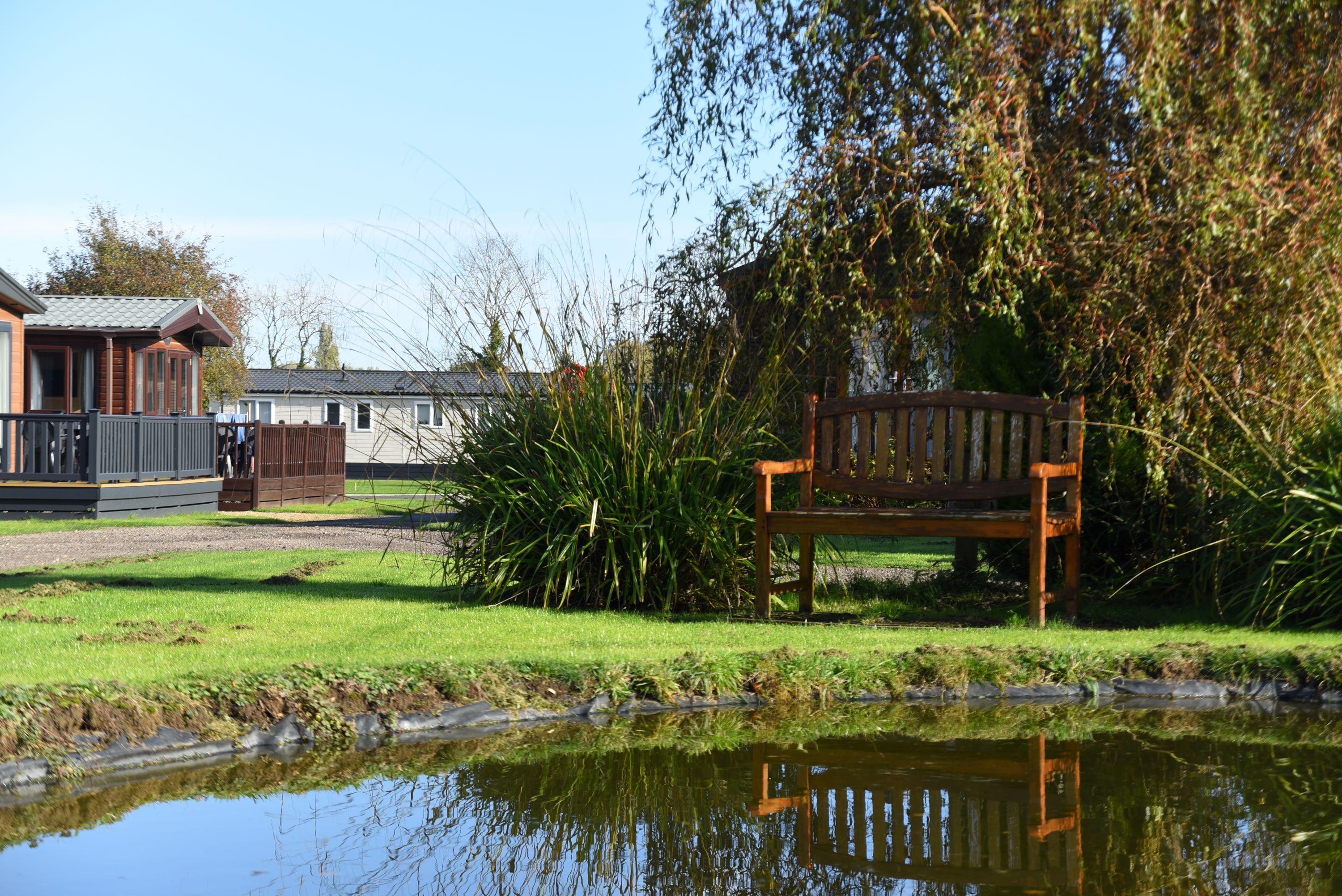 Meadow Field 14