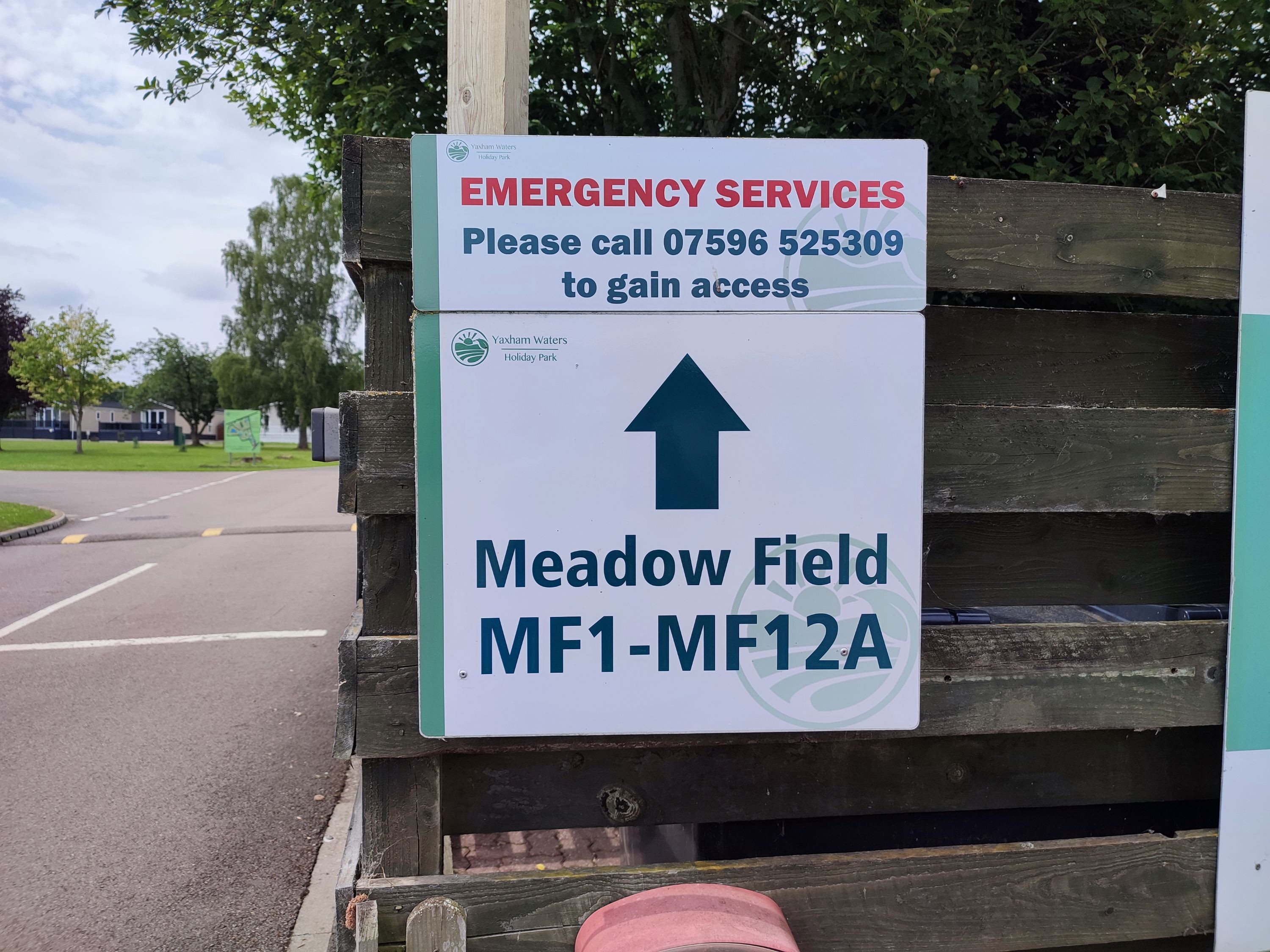 Meadow Field 7